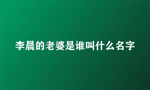 李晨的老婆是谁叫什么名字