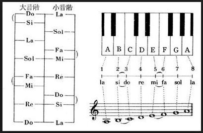 D大调的音阶是什么?