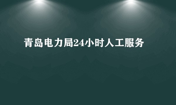 青岛电力局24小时人工服务