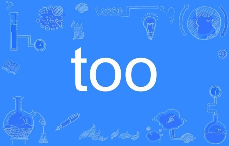 too的三种用法