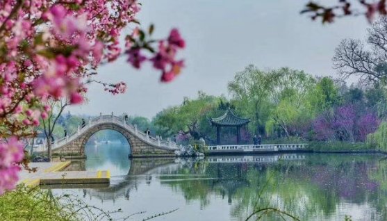天下三分明月夜下一句