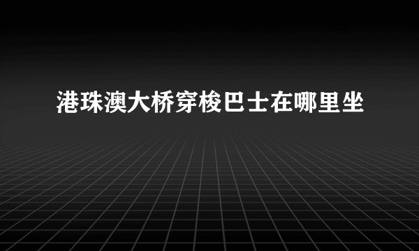 港珠澳大桥穿梭巴士在哪里坐