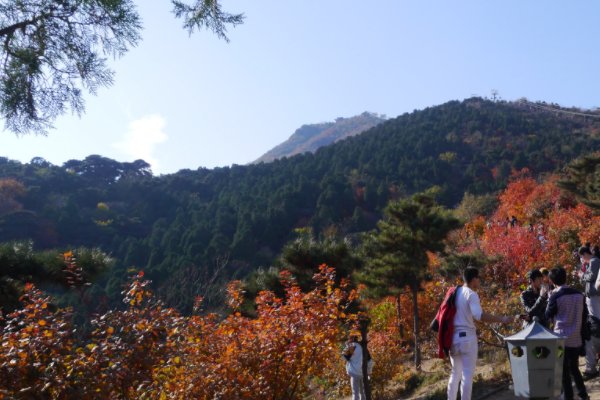 为什么情侣不能爬香山?