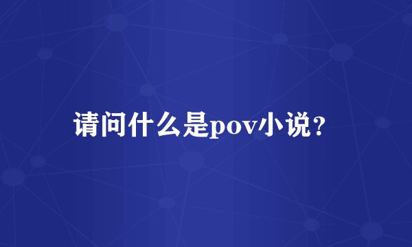 请问什么是pov小说?