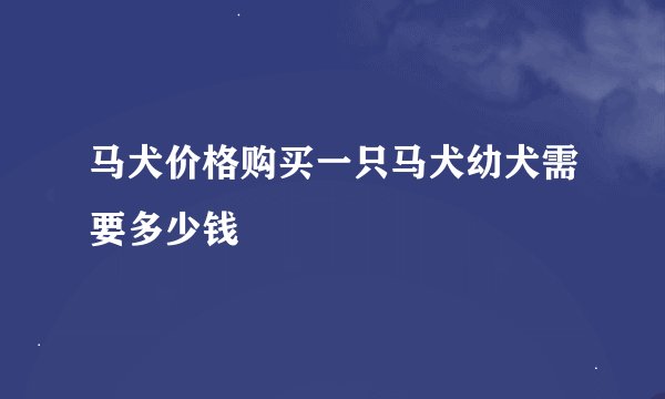 马犬价格购买一只马犬幼犬需要多少钱
