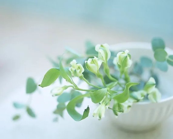 嗯呐是啥意思?