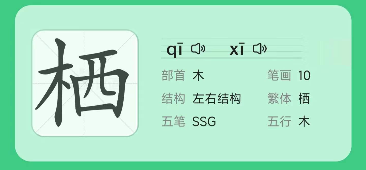 栖读xi还是qi？