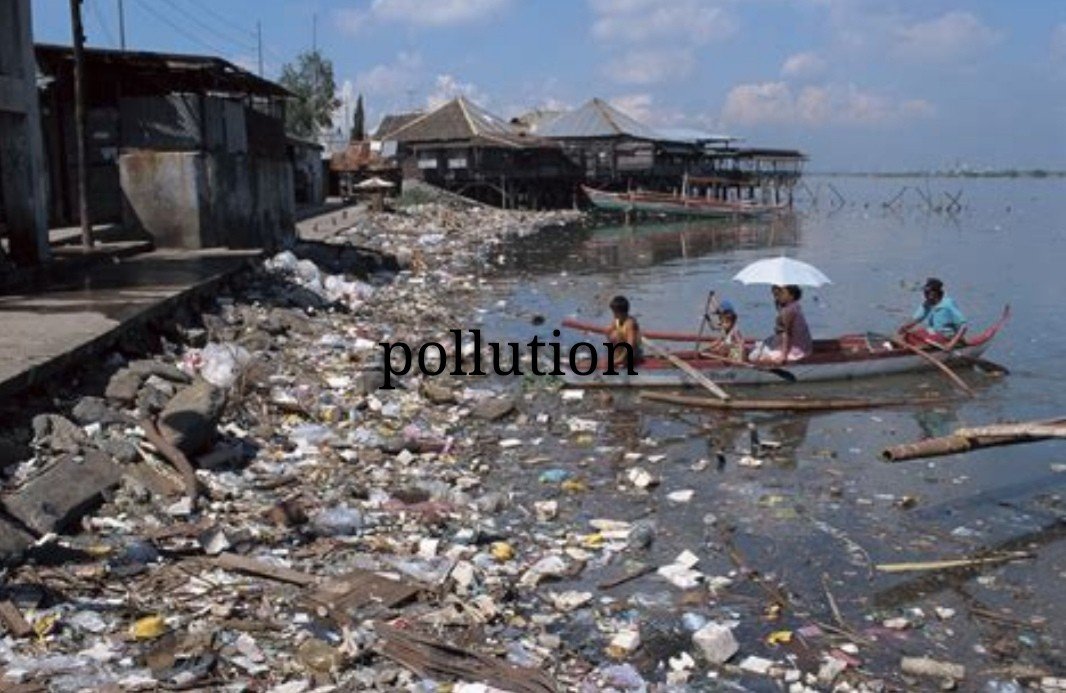 pollute的名词是什么?