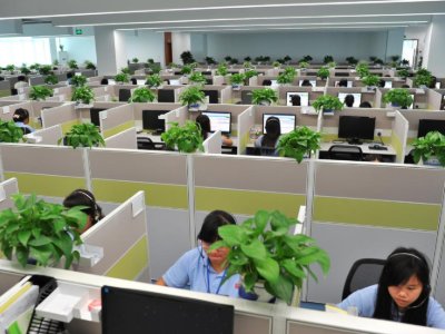 农业银行卡打95599怎么查询余额