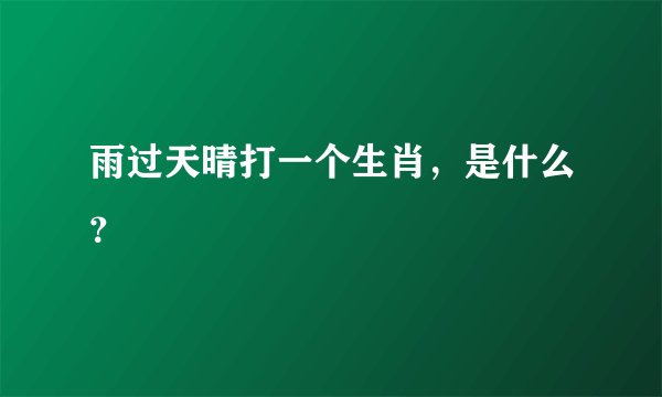 雨过天晴打一个生肖，是什么？