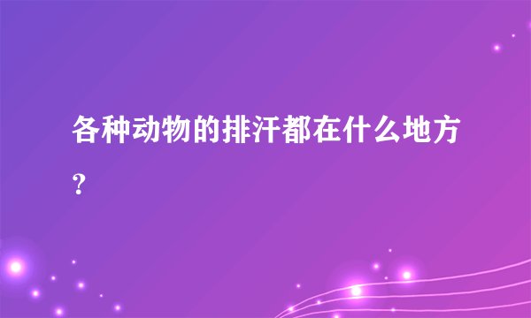 各种动物的排汗都在什么地方？