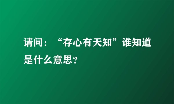 请问：“存心有天知”谁知道是什么意思？
