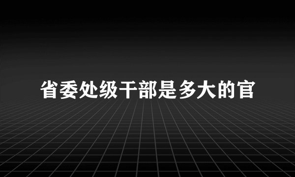 省委处级干部是多大的官
