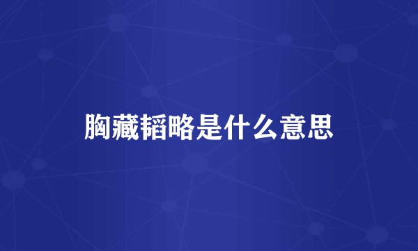 胸藏韬略是什么意思