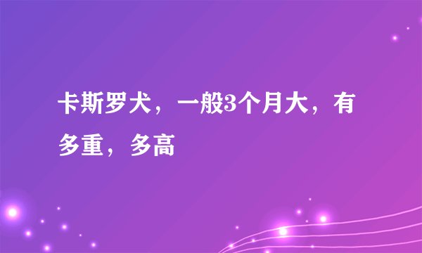 卡斯罗犬，一般3个月大，有多重，多高