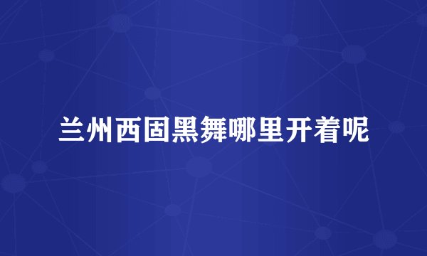 兰州西固黑舞哪里开着呢
