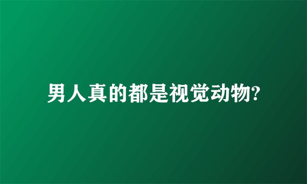 男人真的都是视觉动物?