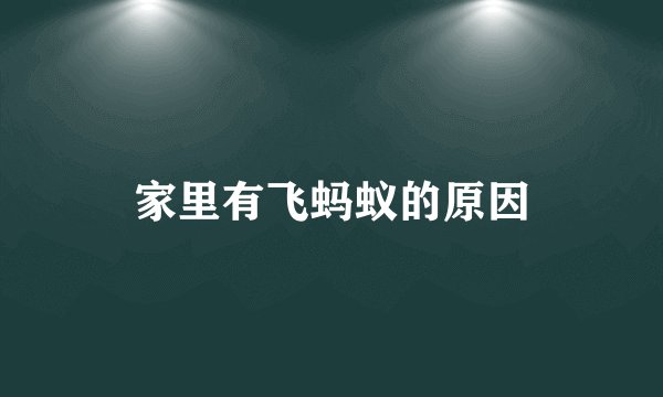 家里有飞蚂蚁的原因