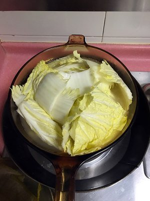 如何炖老鹅汤