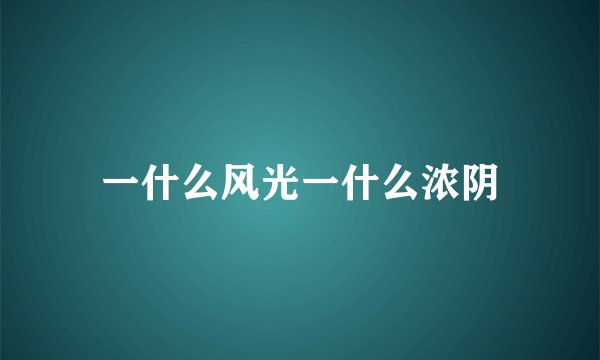 一什么风光一什么浓阴