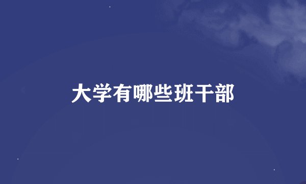 大学有哪些班干部