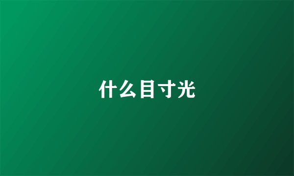 什么目寸光