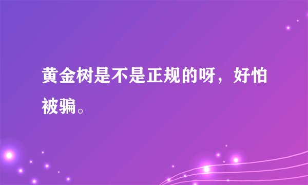 黄金树是不是正规的呀，好怕被骗。