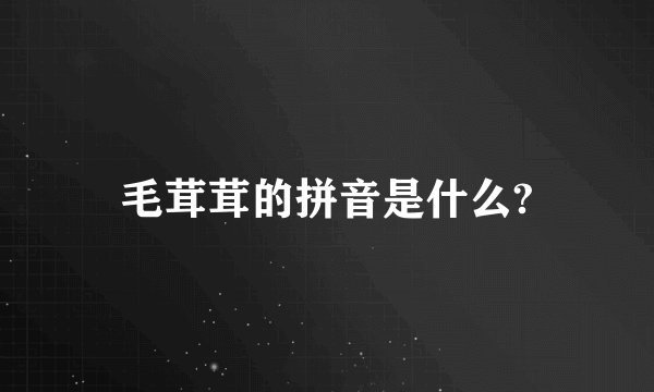 毛茸茸的拼音是什么?