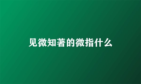 见微知著的微指什么