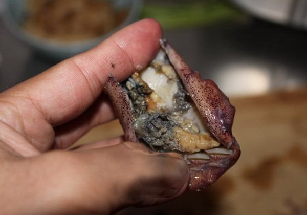 笔管鱼怎么洗干净清洗方法是什么