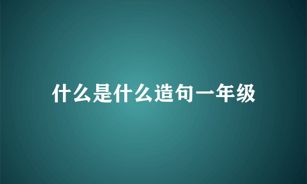 什么是什么造句一年级