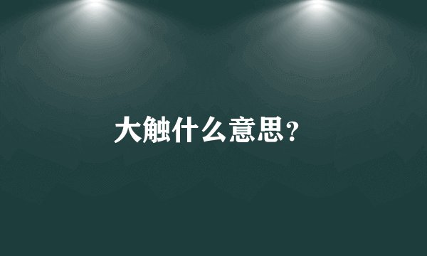 大触什么意思？