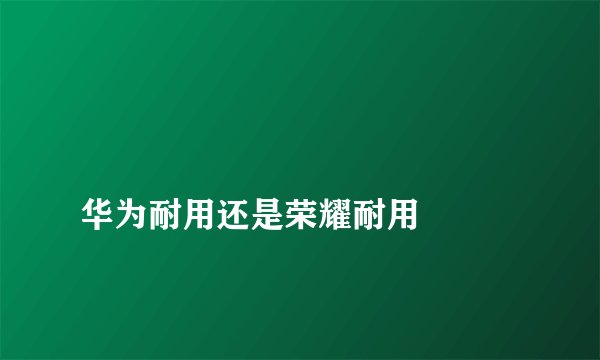 
华为耐用还是荣耀耐用

