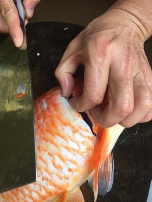 吃鱼腥线必须去掉吗?