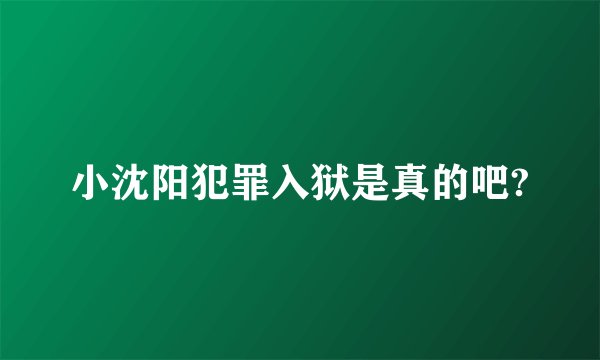 小沈阳犯罪入狱是真的吧?