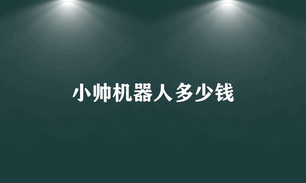 小帅机器人多少钱
