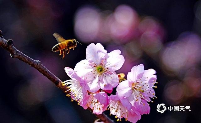 春光无限好的光指什么意思？