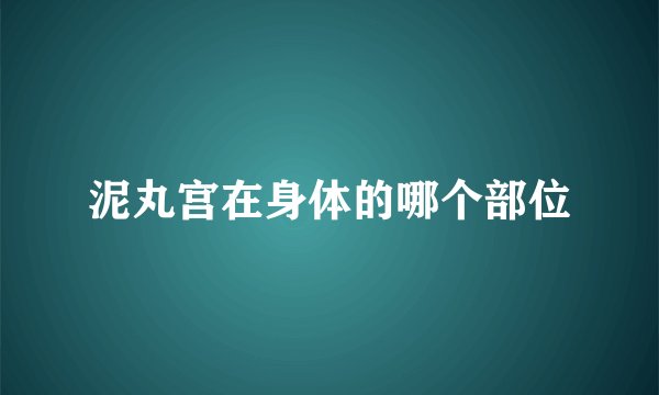 泥丸宫在身体的哪个部位