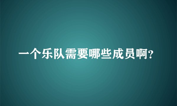 一个乐队需要哪些成员啊？
