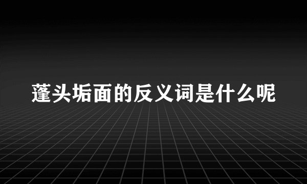 蓬头垢面的反义词是什么呢