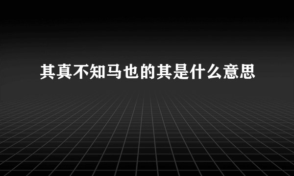 其真不知马也的其是什么意思