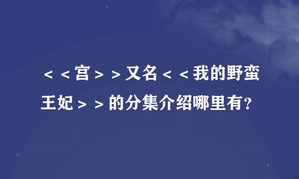 <<宫>>又名<<我的野蛮王妃>>的分集介绍哪里有?