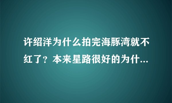 许绍洋为什么拍完海豚湾就不红了?本来星路很好的为什么现在没以前红了?