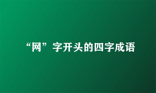 “网”字开头的四字成语