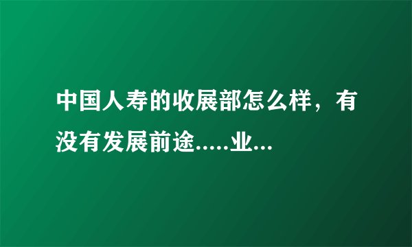 中国人寿的收展部怎么样，有没有发展前途.....业内人士帮帮忙