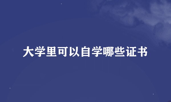 大学里可以自学哪些证书
