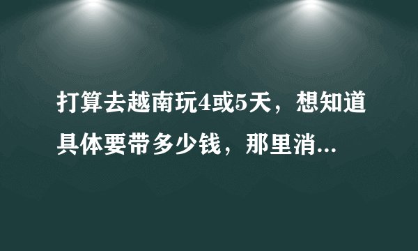 打算去越南玩4或5天，想知道具体要带多少钱，那里消费水平如何？