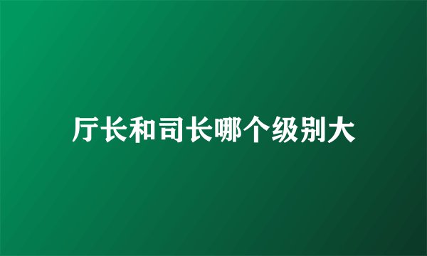 厅长和司长哪个级别大