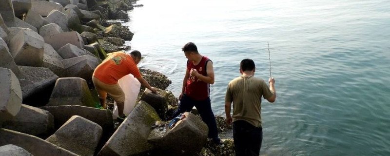 钓螃蟹用什么饵料？