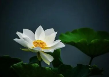 浑浊不清的反义词